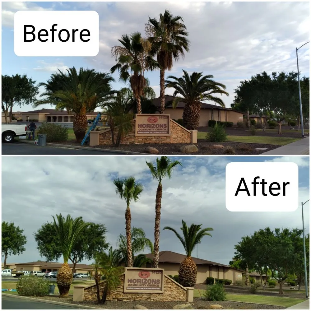 Professional garden landscaping in Glendale, AZ by Dave's Tree Service