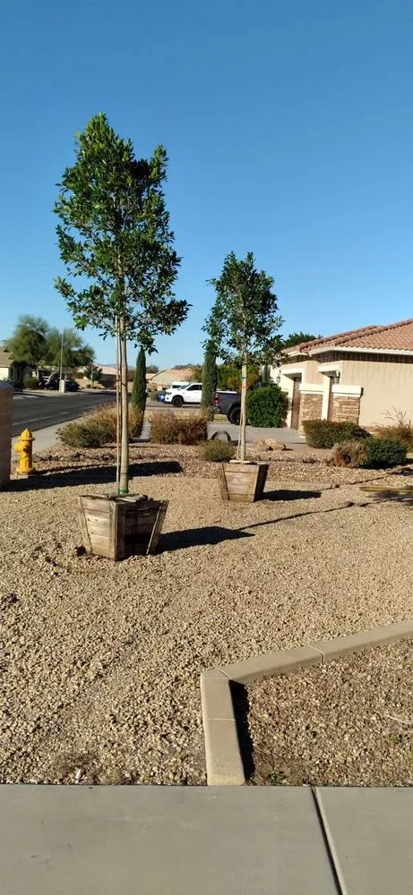 Professional lawn mowing service for outdoor upgrades in Glendale, AZ by Dave's Tree Service
