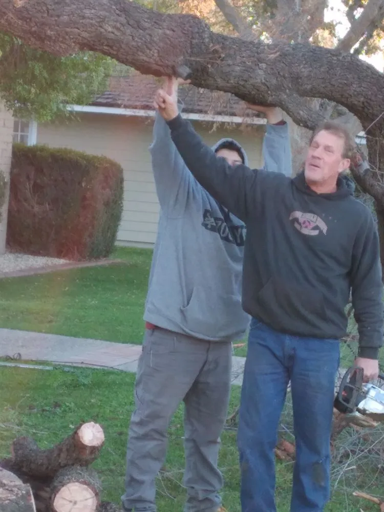 Affordable yard maintenance in Glendale, AZ by Dave's Tree Service