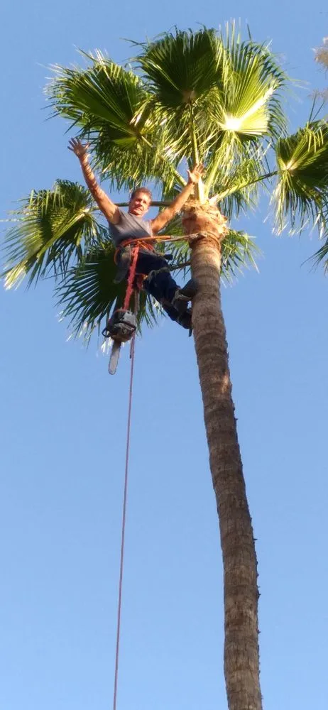 Affordable lawn mowing service experts serving Glendale, AZ - Dave's Tree Service