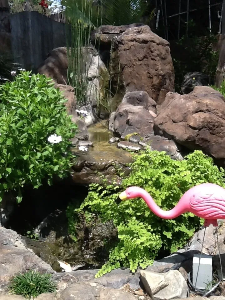 Trusted landscaping services for outdoor upgrades across Huntington Beach, CA - Daves Views