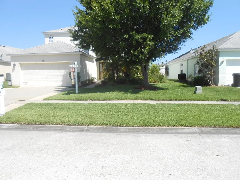 Top-rated yard maintenance in Saint Petersburg, FL by Dave's World of Lawns