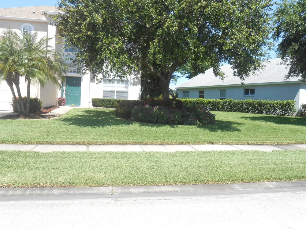 Affordable lawn mowing service for beautiful yards in Saint Petersburg, FL by Dave's World of Lawns
