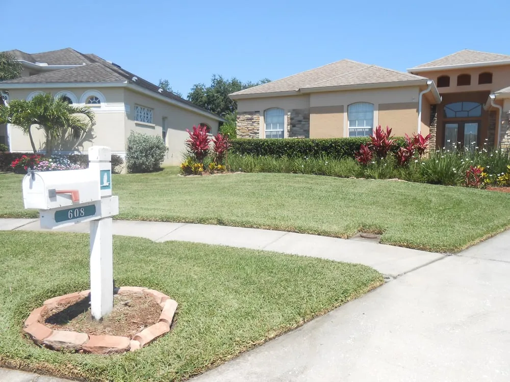 Trusted landscape installation experts serving Saint Petersburg, FL - Dave's World of Lawns