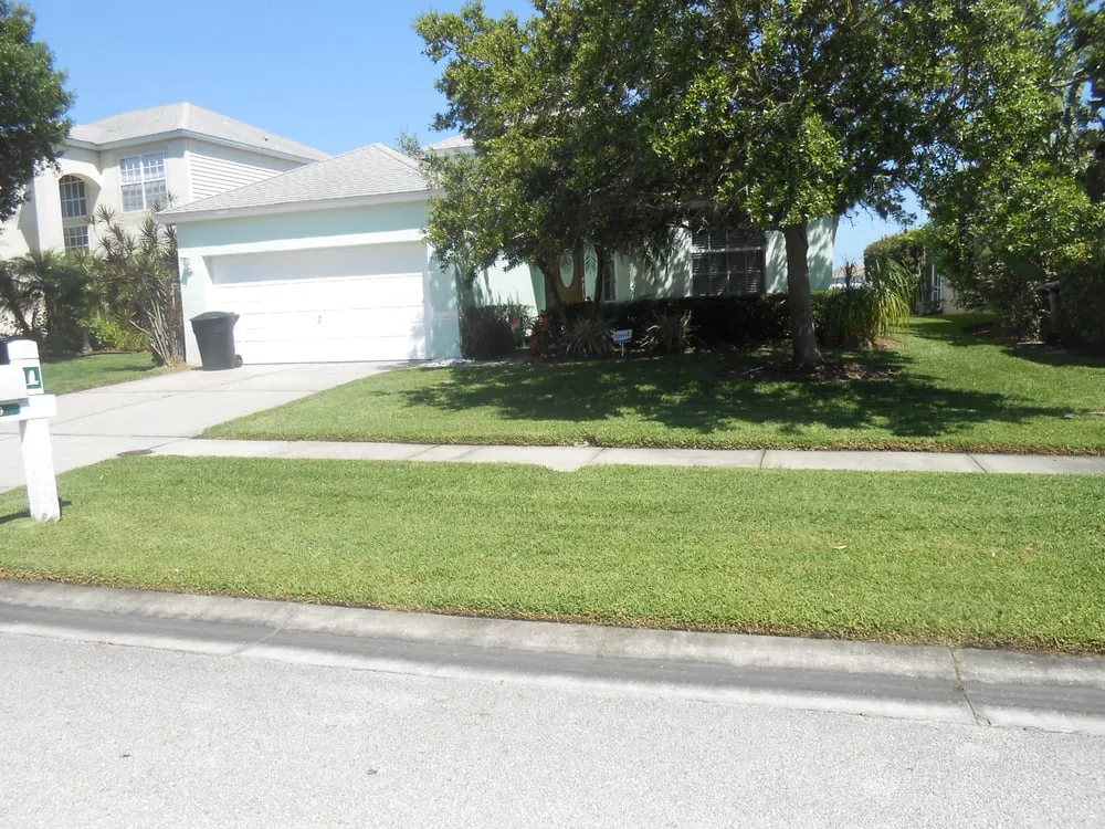 Local landscape design in Saint Petersburg, FL by Dave's World of Lawns