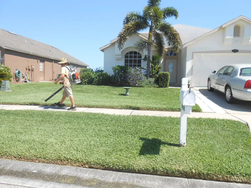 Top-rated lawn care service with custom design across Saint Petersburg, FL - Dave's World of Lawns