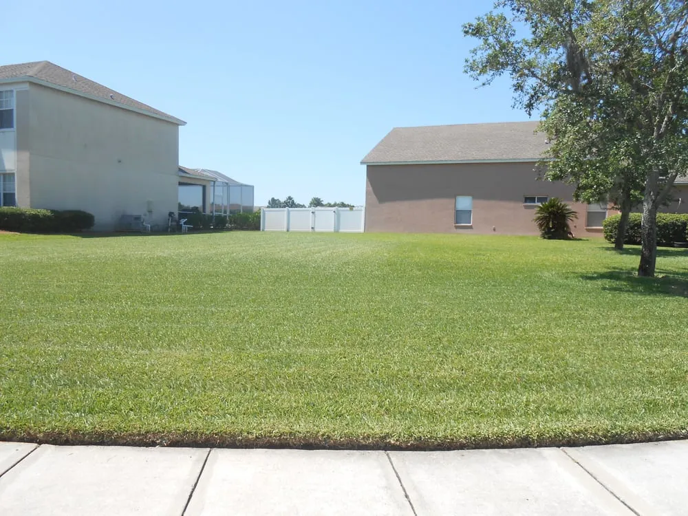 Trusted landscape installation in Saint Petersburg, FL by Dave's World of Lawns