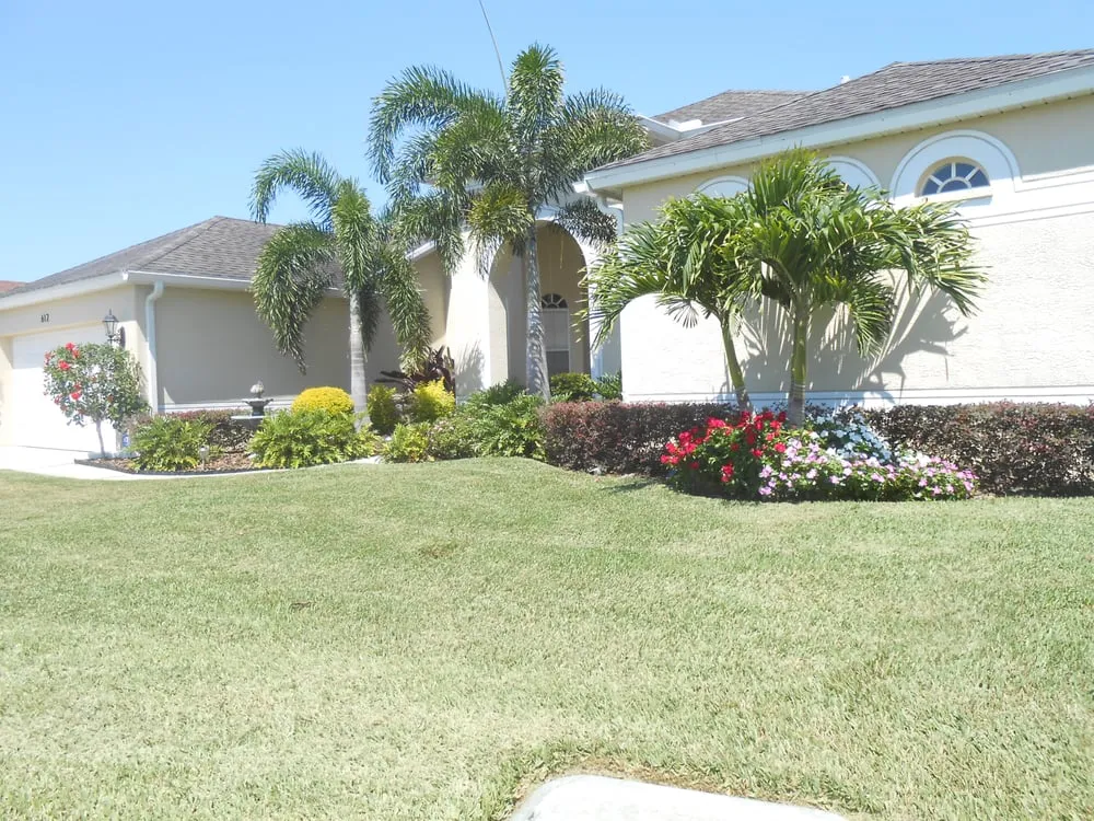 Professional landscape design in Saint Petersburg, FL by Dave's World of Lawns