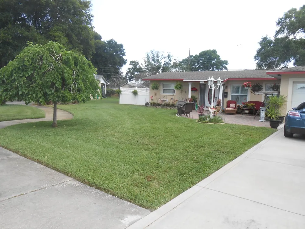 Top-rated yard maintenance experts serving Saint Petersburg, FL - Dave's World of Lawns