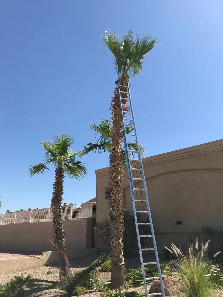 Custom outdoor landscaping experts serving Lake Havasu City, AZ - Dave's Yard Maintenance