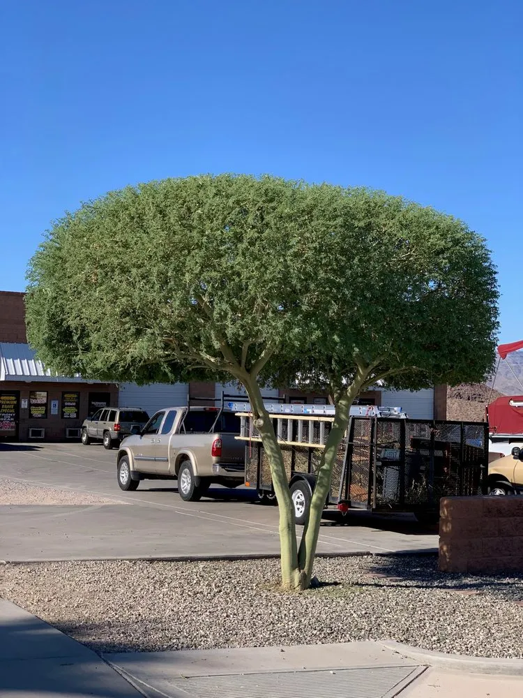 Expert garden landscaping for homes across Lake Havasu City, AZ - Dave's Yard Maintenance