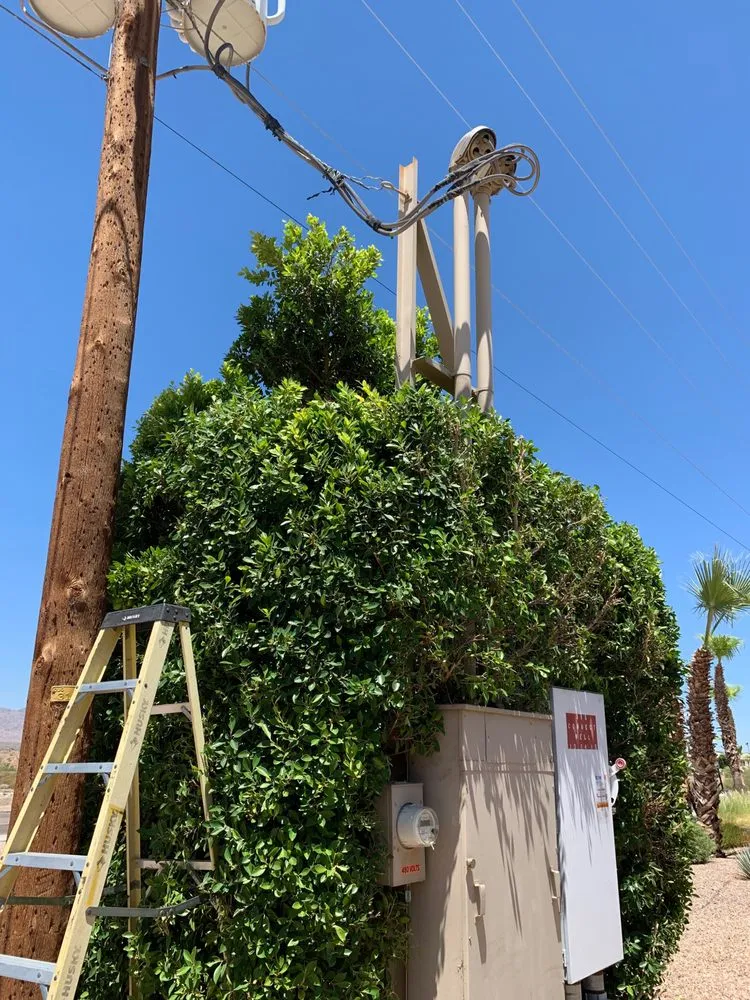 Professional landscape design with custom design in Lake Havasu City, AZ by Dave's Yard Maintenance