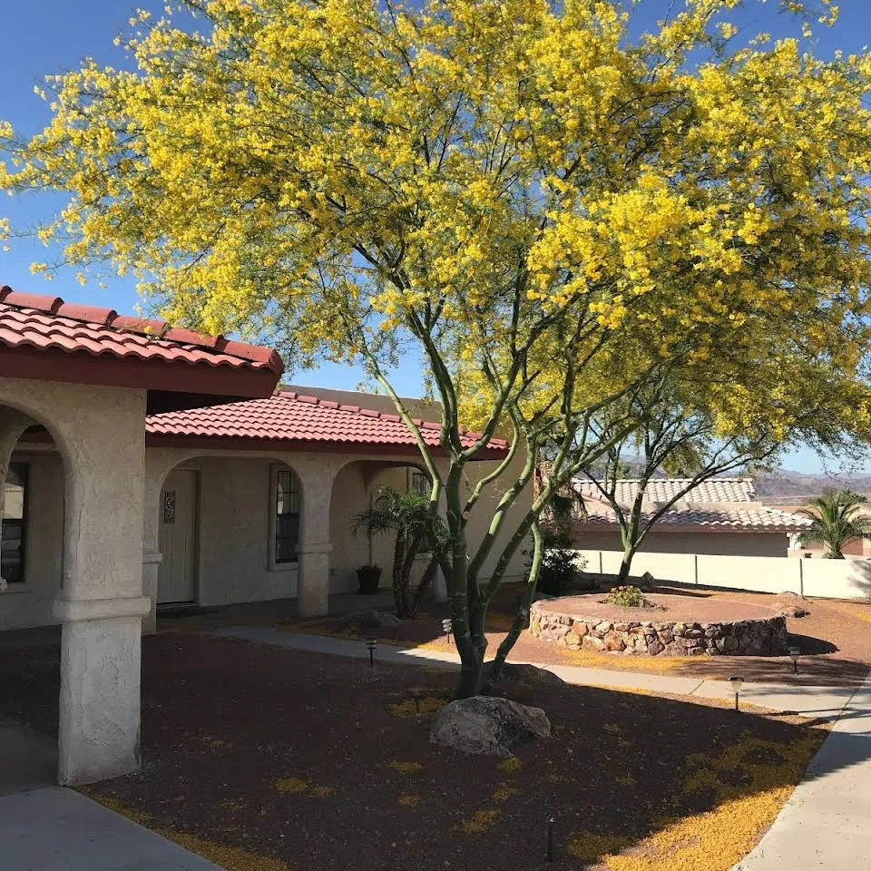 Top-rated outdoor landscaping in Lake Havasu City, AZ by Dave's Yard Maintenance