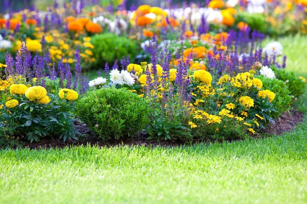 Affordable residential landscaping in Eagle, ID - Dave's Yard Pros