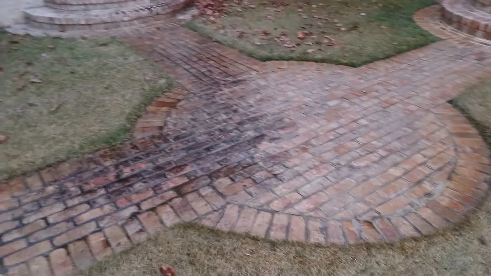 Affordable garden landscaping in New Bern, NC - Daveys Yard & Landscaping