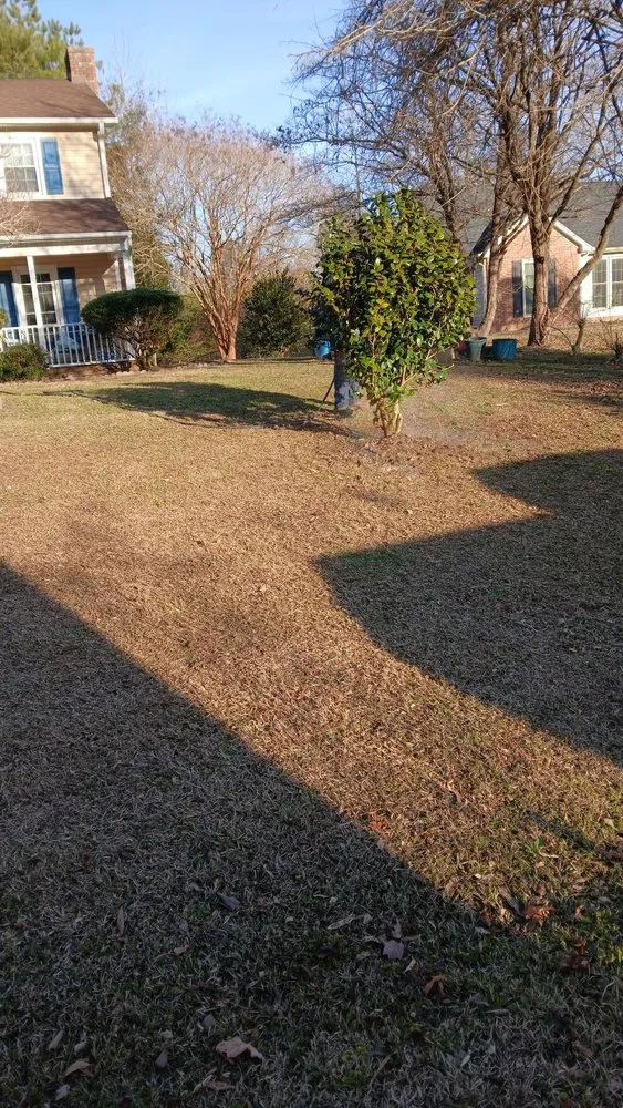 Local lawn mowing service in New Bern, NC by Daveys Yard & Landscaping