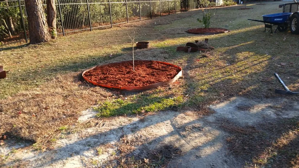 Local lawn care service for year-round maintenance in New Bern, NC by Daveys Yard & Landscaping