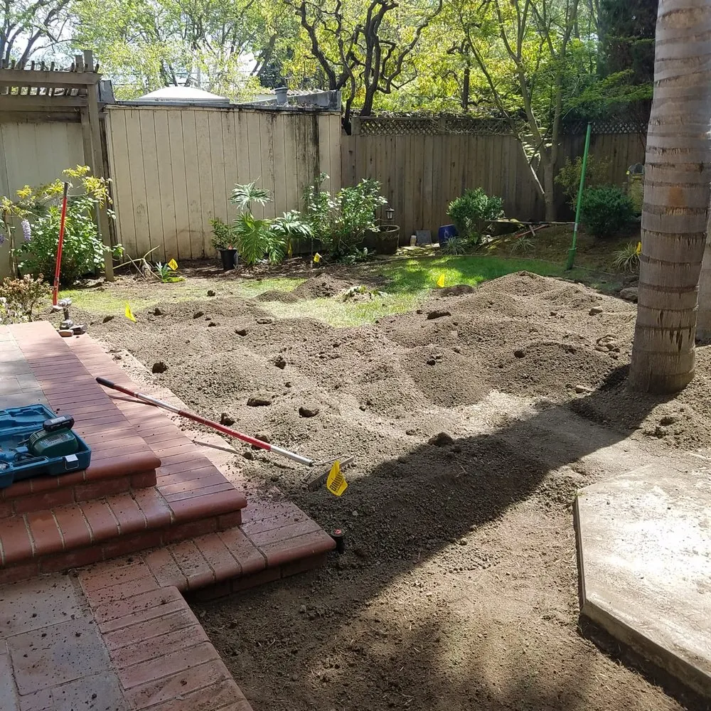 Expert lawn care service in San Jose, CA - David & Aron Landscaping