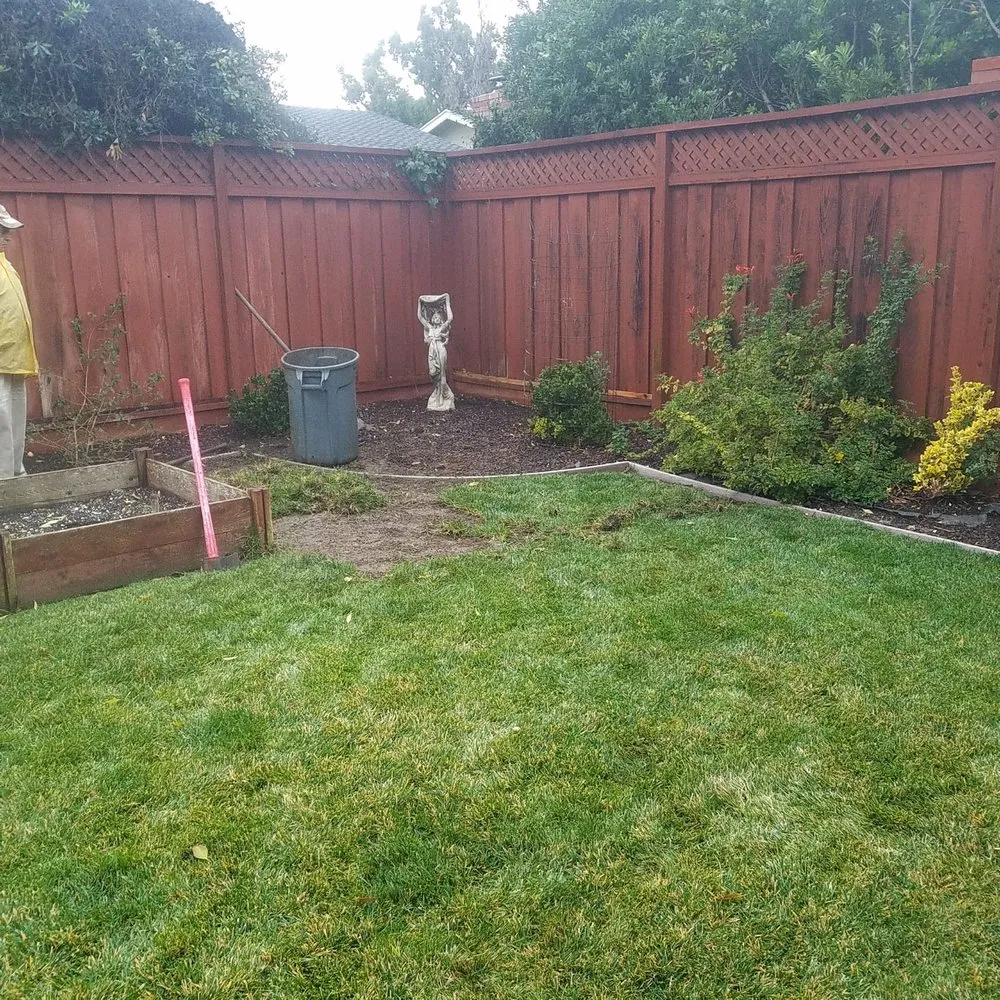 Expert landscaping services in San Jose, CA by David & Aron Landscaping
