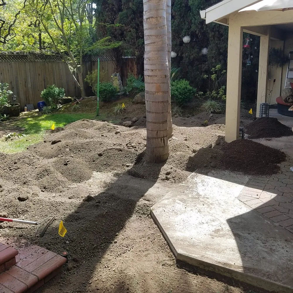 Top-rated landscape design in San Jose, CA by David & Aron Landscaping