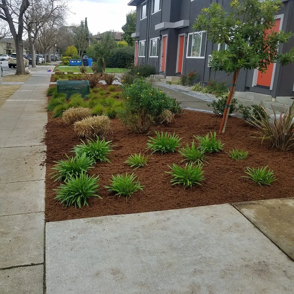 Custom yard cleanup service for beautiful yards across San Jose, CA - David & Aron Landscaping