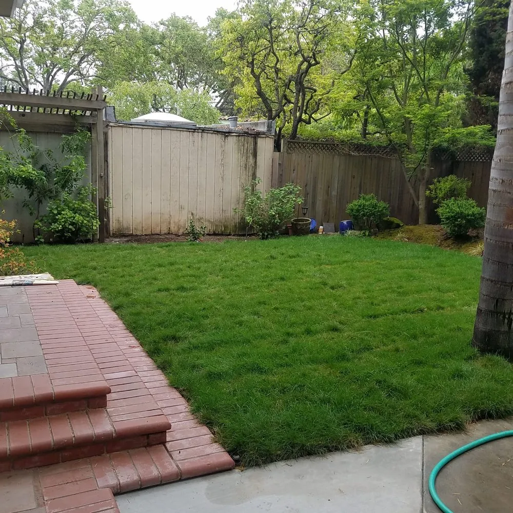 Reliable yard cleanup service for beautiful yards across San Jose, CA - David & Aron Landscaping