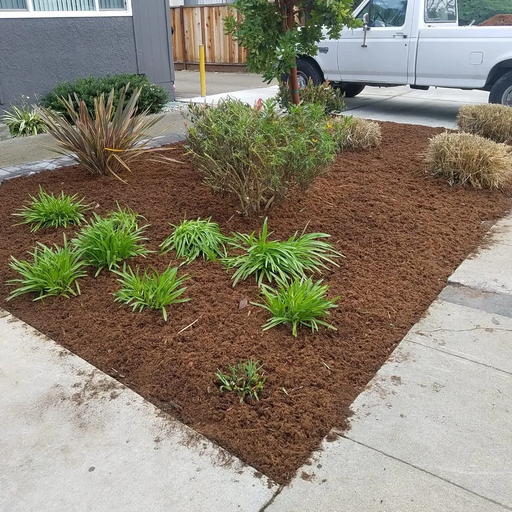 Local lawn care service for outdoor upgrades in San Jose, CA by David & Aron Landscaping