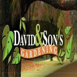 Professional landscaping services in Littlerock, CA by David & Son's Gardening