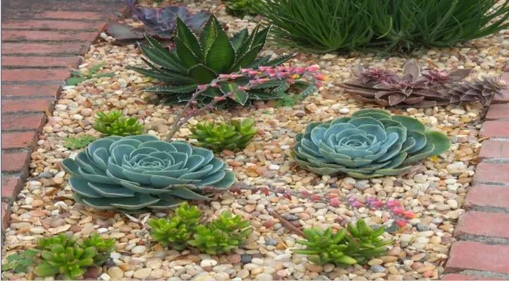 Reliable lawn mowing service experts serving Littlerock, CA - David & Son's Gardening