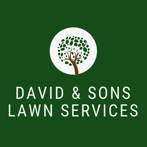 Trusted lawn care service experts serving Decatur, TX - David & Sons Lawn Service