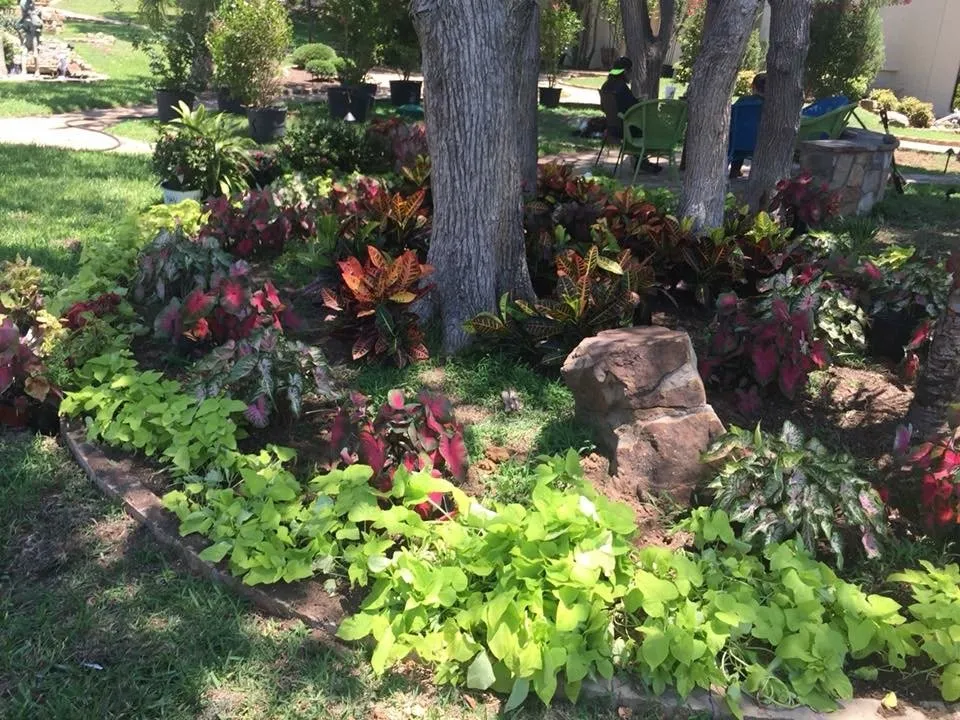 Reliable yard maintenance for beautiful yards across Decatur, TX - David & Sons Lawn Service