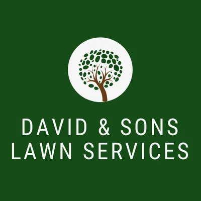 David & Sons Lawn Service