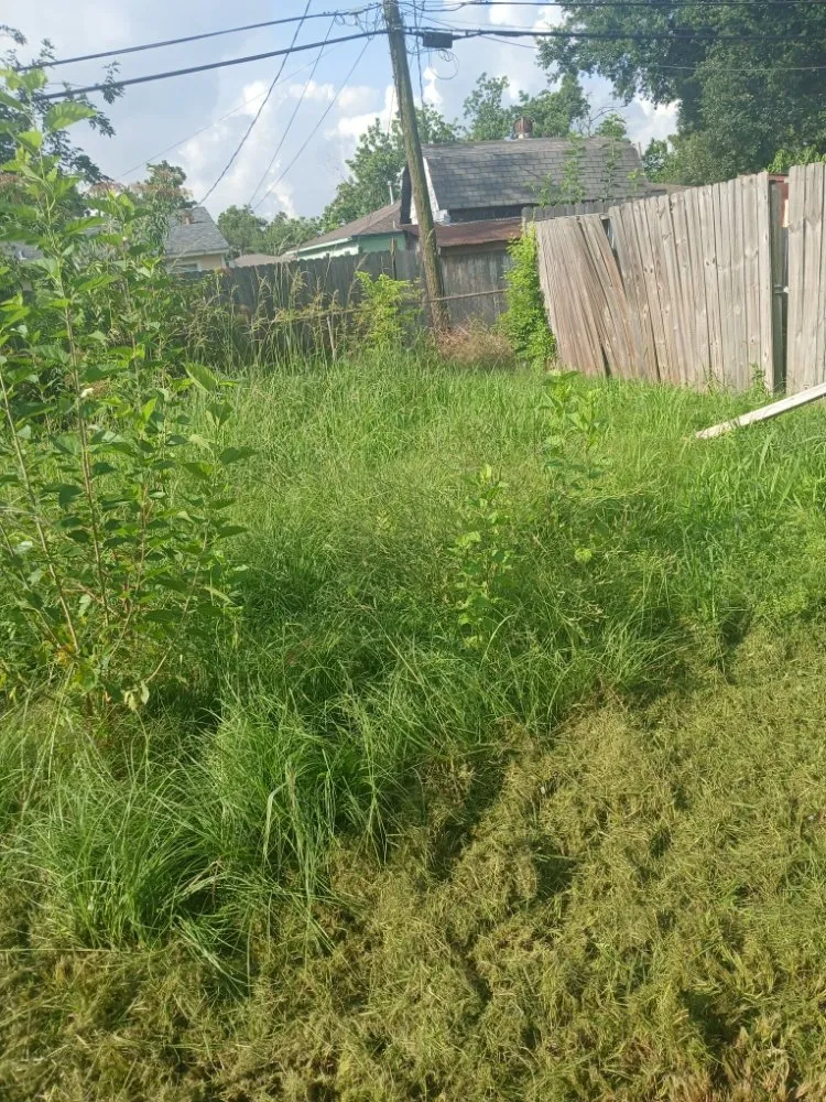 Professional garden landscaping for homes across Channelview, TX - David & Tinos Lawn Service