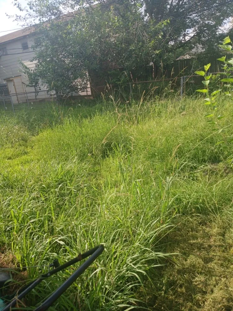 Expert landscape installation for beautiful yards in Channelview, TX by David & Tinos Lawn Service