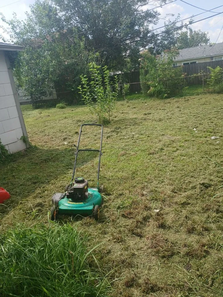 Top-rated landscape installation for year-round maintenance across Channelview, TX - David & Tinos Lawn Service