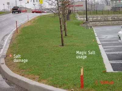 Trusted landscape installation for homes across Middletown, CT - David A Lenz Landscape Service