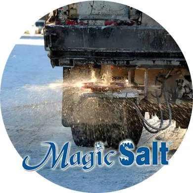 David A Lenz Landscape Service Logo