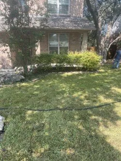 Local yard maintenance in Round Rock, TX by David Alcantar Landscaping & More