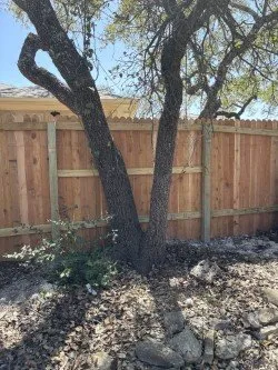 Local yard cleanup service near you in Round Rock, TX by David Alcantar Landscaping & More