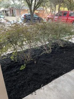 Top-rated lawn care service for outdoor upgrades across Round Rock, TX - David Alcantar Landscaping & More