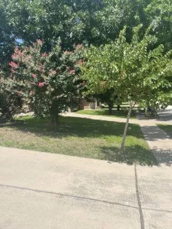 Reliable yard maintenance experts serving Round Rock, TX - David Alcantar Landscaping & More