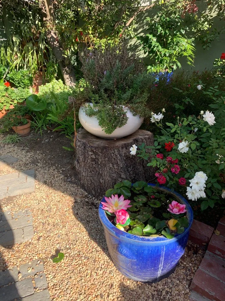 Trusted yard cleanup service experts serving San Juan Capistrano, CA - David Bahena Yard, Tree, and Home Services