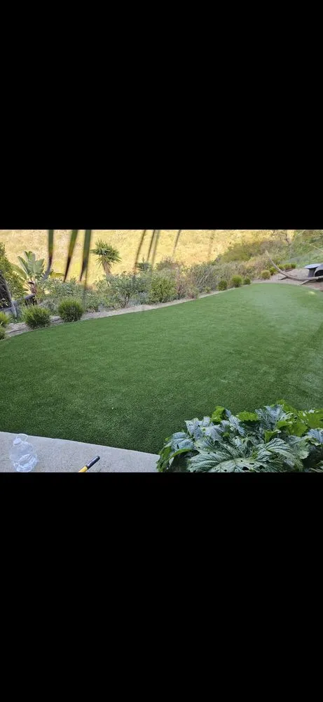 Expert yard maintenance in San Juan Capistrano, CA by David Bahena Yard, Tree, and Home Services