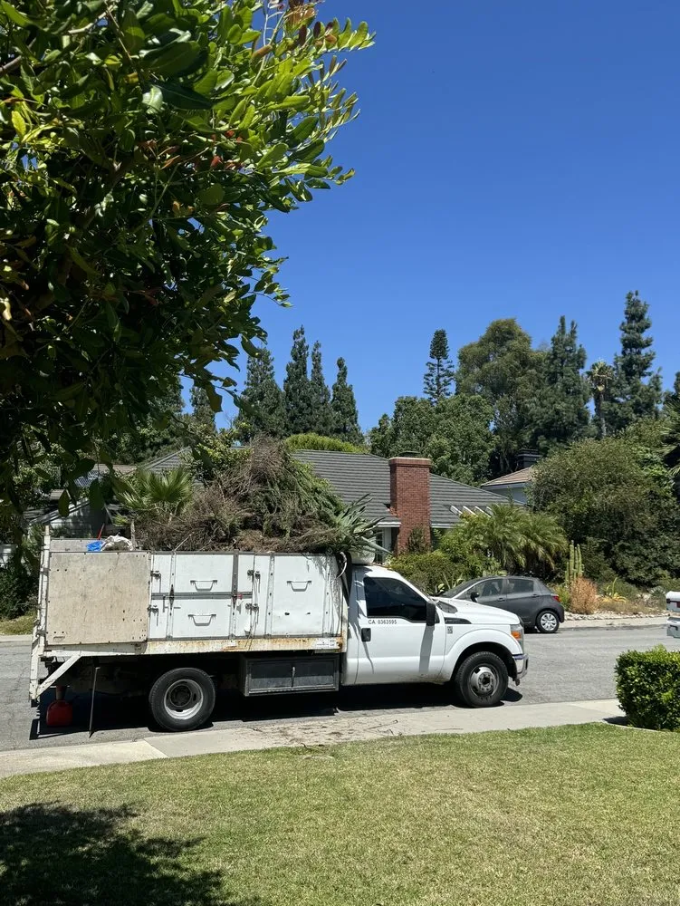 Local landscape installation for year-round maintenance in San Juan Capistrano, CA by David Bahena Yard, Tree, and Home Services