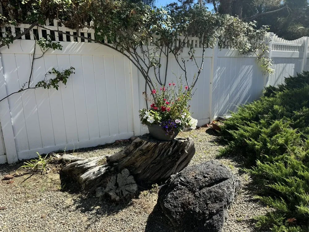 Affordable landscape installation in San Juan Capistrano, CA by David Bahena Yard, Tree, and Home Services