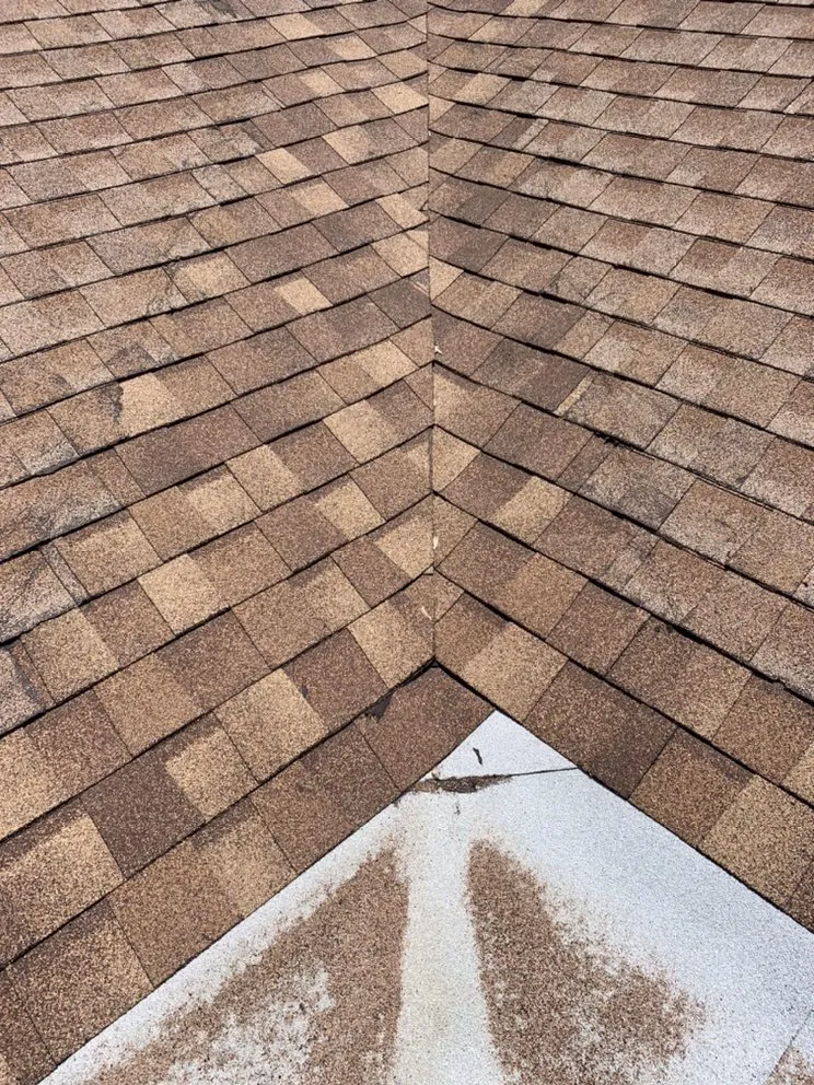 Professional lawn mowing service experts serving Homosassa, FL - David Boulerice Handyman