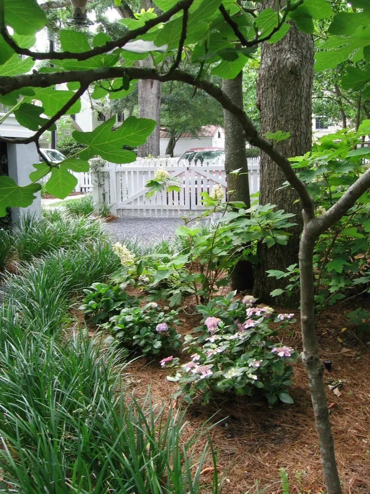 Local lawn care service for year-round maintenance in Beaufort, SC by David C Camp Landscaping & Design