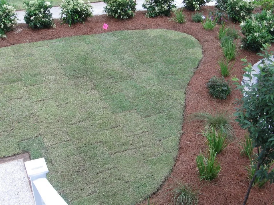 Expert landscaping services experts serving Beaufort, SC - David C Camp Landscaping & Design