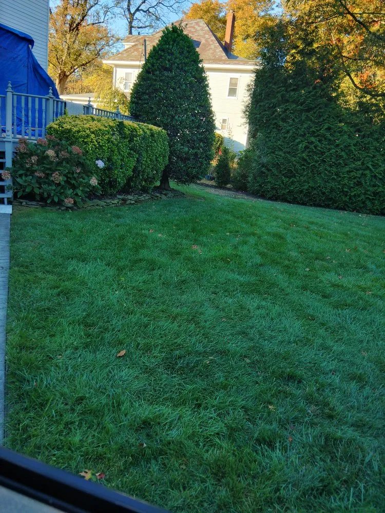 Local yard maintenance in Norristown, PA - David Contreras Landscaping