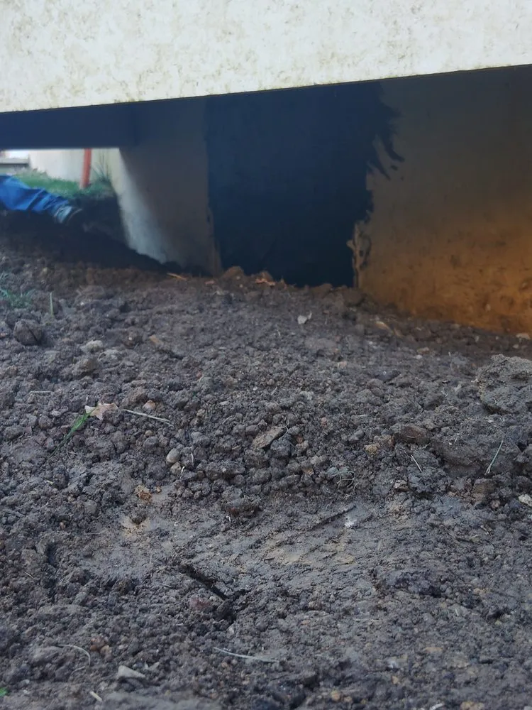 Expert yard cleanup service in Norristown, PA by David Contreras Landscaping